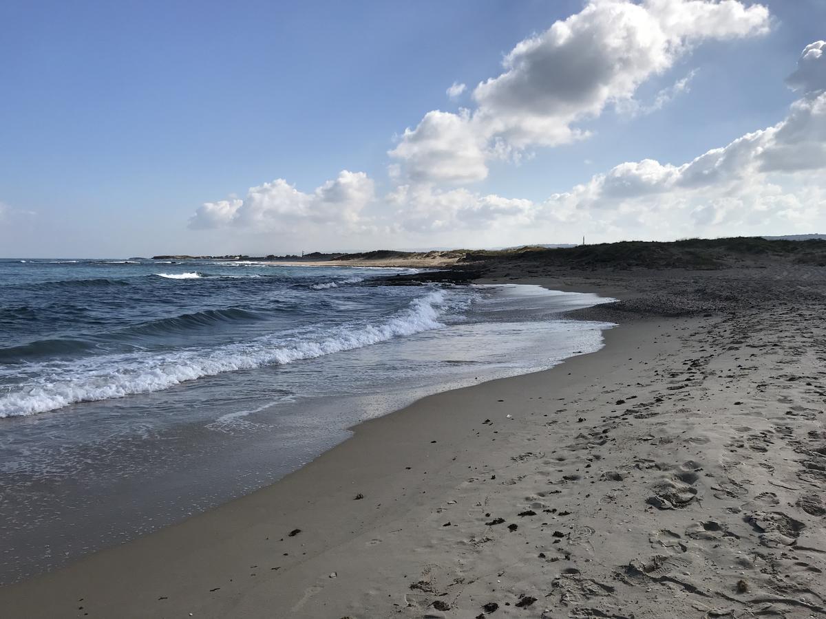 Apartment Caesarea 38 외부 사진